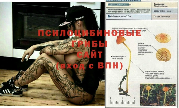 скорость Арсеньев