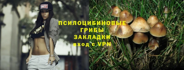 молекула духа Армянск