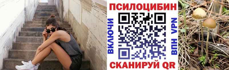 Псилоцибиновые грибы ЛСД купить цена Хотьково